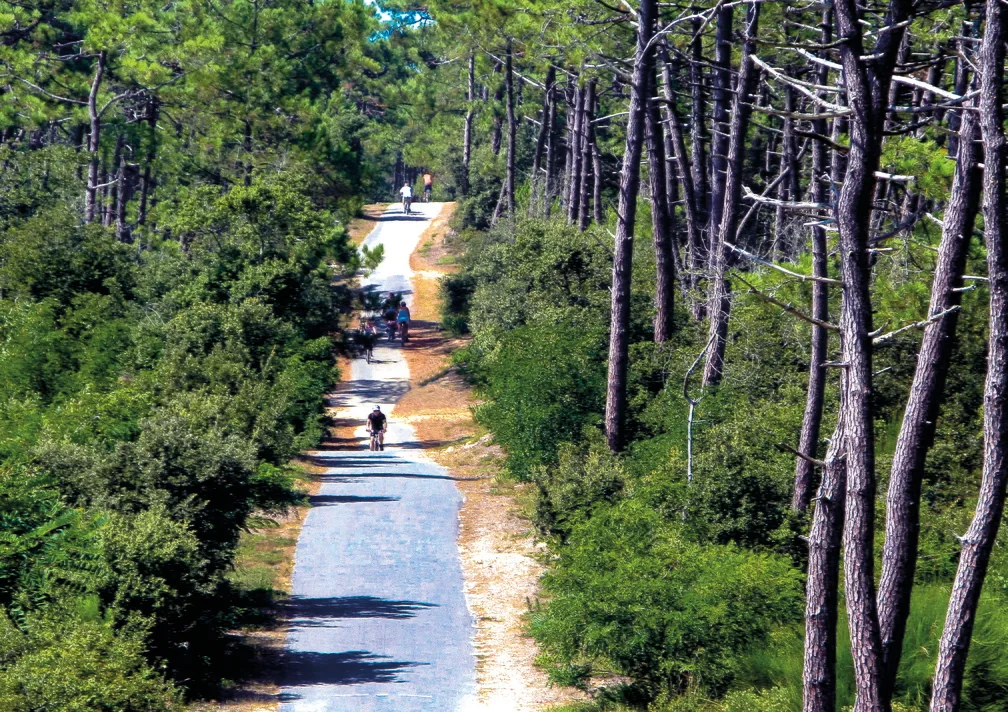 foret de la coubre