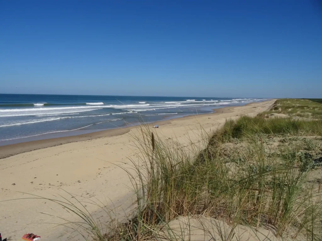 Plage Côte Sauvage dunes sur les vagues Charente Maritime – ESCS La Palmyre Côte Sauvage