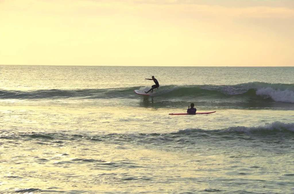 Session de surf coucher de soleil Côte Sauvage longboard – ESCS La Palmyre Côte Sauvage