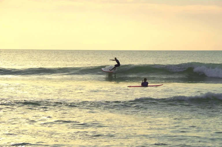 Session de surf coucher de soleil Côte Sauvage longboard – ESCS La Palmyre Côte Sauvage