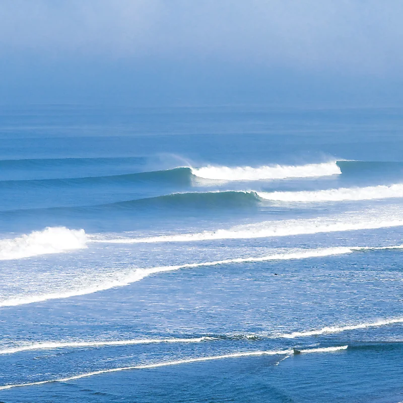 Sur les vagues parfaites Côte Sauvage surf Charente Maritime – ESCS La Palmyre Côte Sauvage